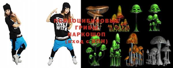 амф Надым