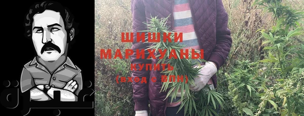 амф Надым