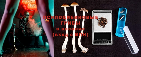 амф Надым