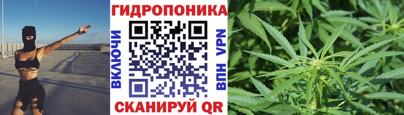 Канабис Bruce Banner ссылка на мегу сайт Ялуторовск